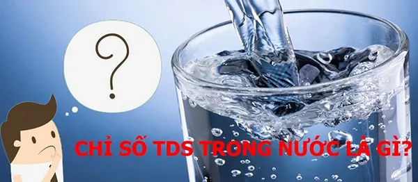 chỉ số tds là gì