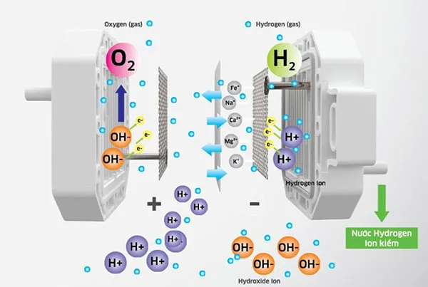 sự khác biệt giữa nước hydro và nước lọc thông thường