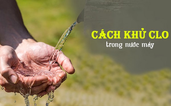 cách khử clo trong nước máy