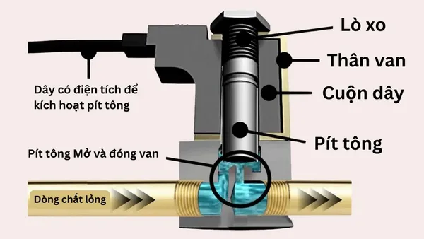 cấu trúc và chức năng của van
