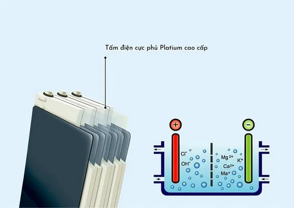 đánh giá chất lượng bộ điện cực