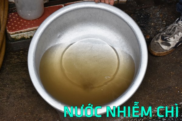 nước nhiễm chì là gì