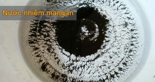 Nuoc nhiem mangan la gi