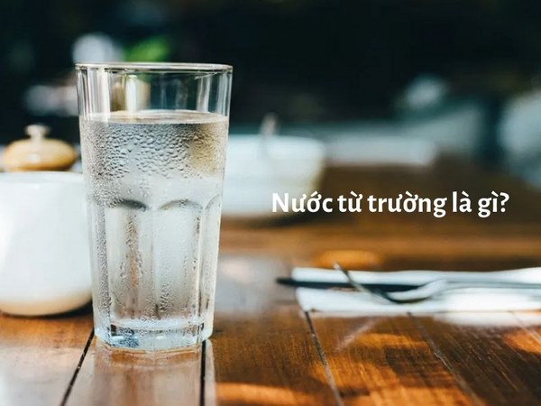 nước từ trường